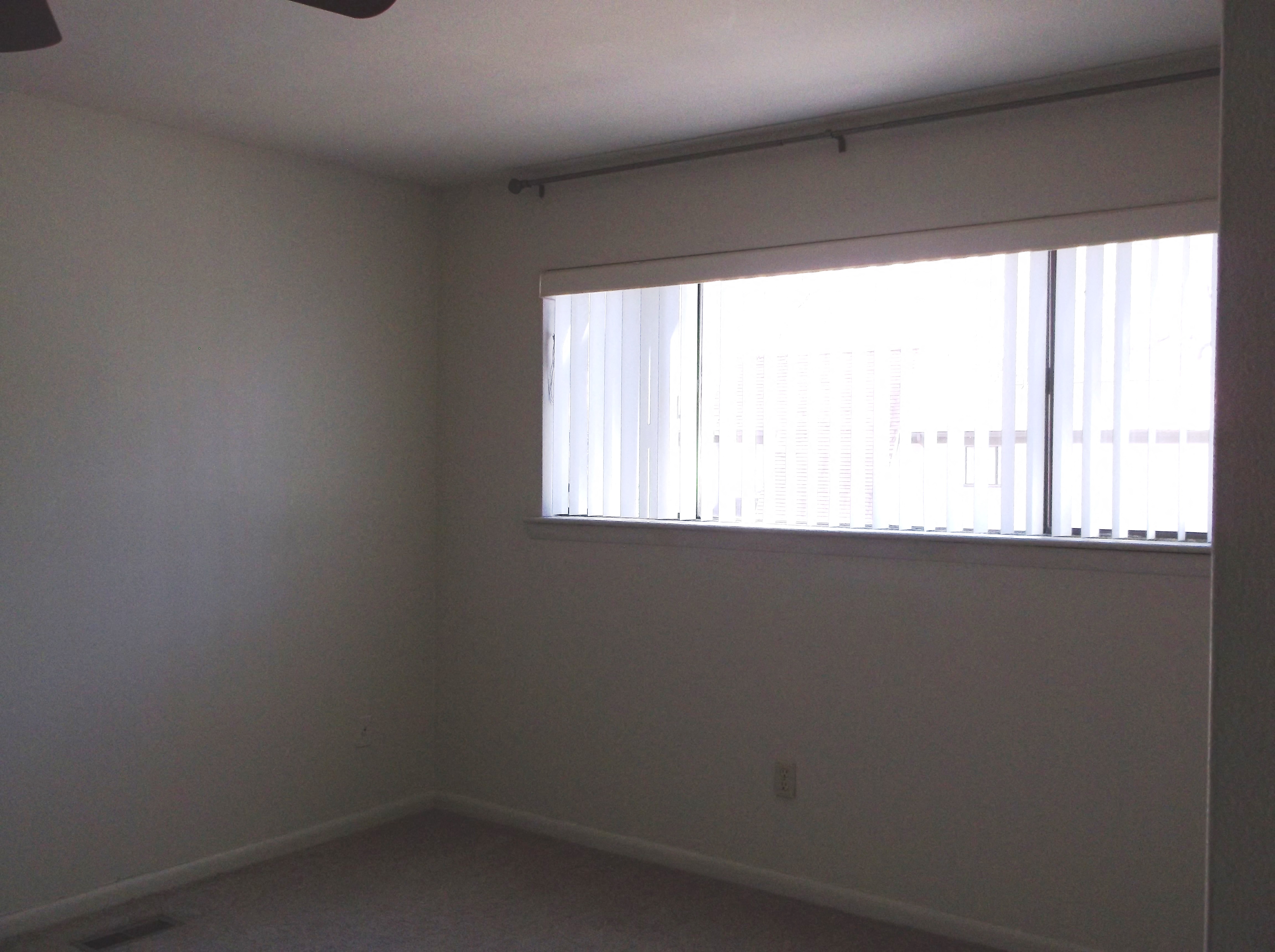 Gallery Photo 17